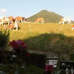 In Der Au *
